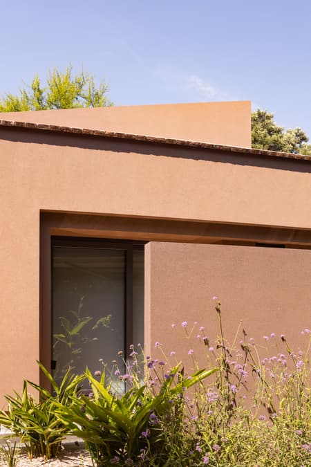 House around the Tree